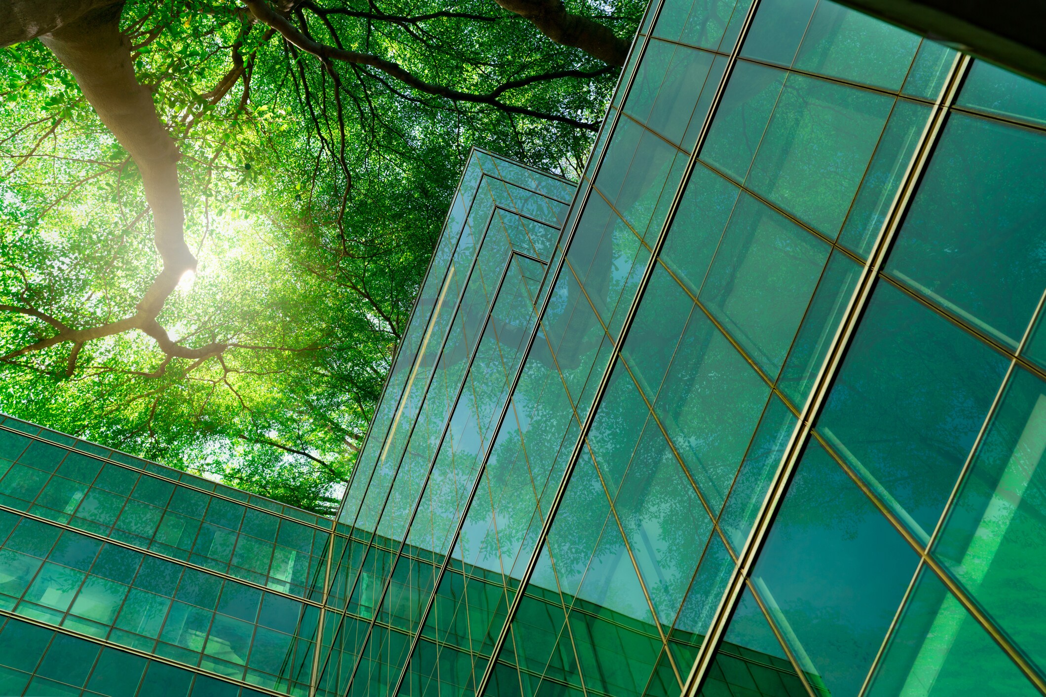 Sustainability