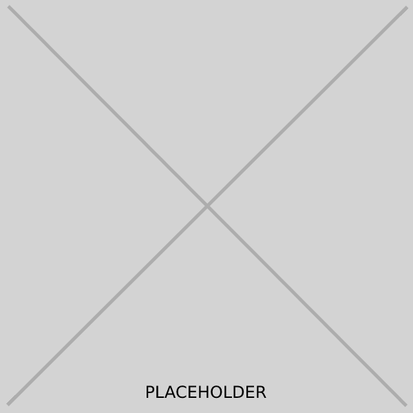 Two diagonals in a square with text reading 'Placeholder'